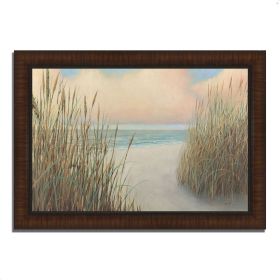 36" Natural Coastal Beach Trail Giclee Print on Gallery Wrap Canvas Wall Art