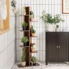 Open Concept Plant Display Shelf Rack Storage Holder
